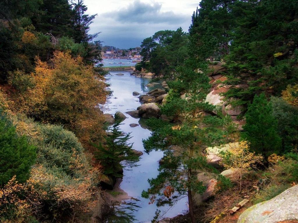 La Presqu' Ile Du Lenn Face A La Mer Apartment Louannec Bagian luar foto